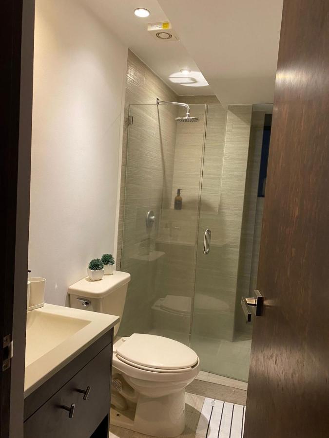 Apartament Corazon De Condesa Meksyk Zewnętrze zdjęcie