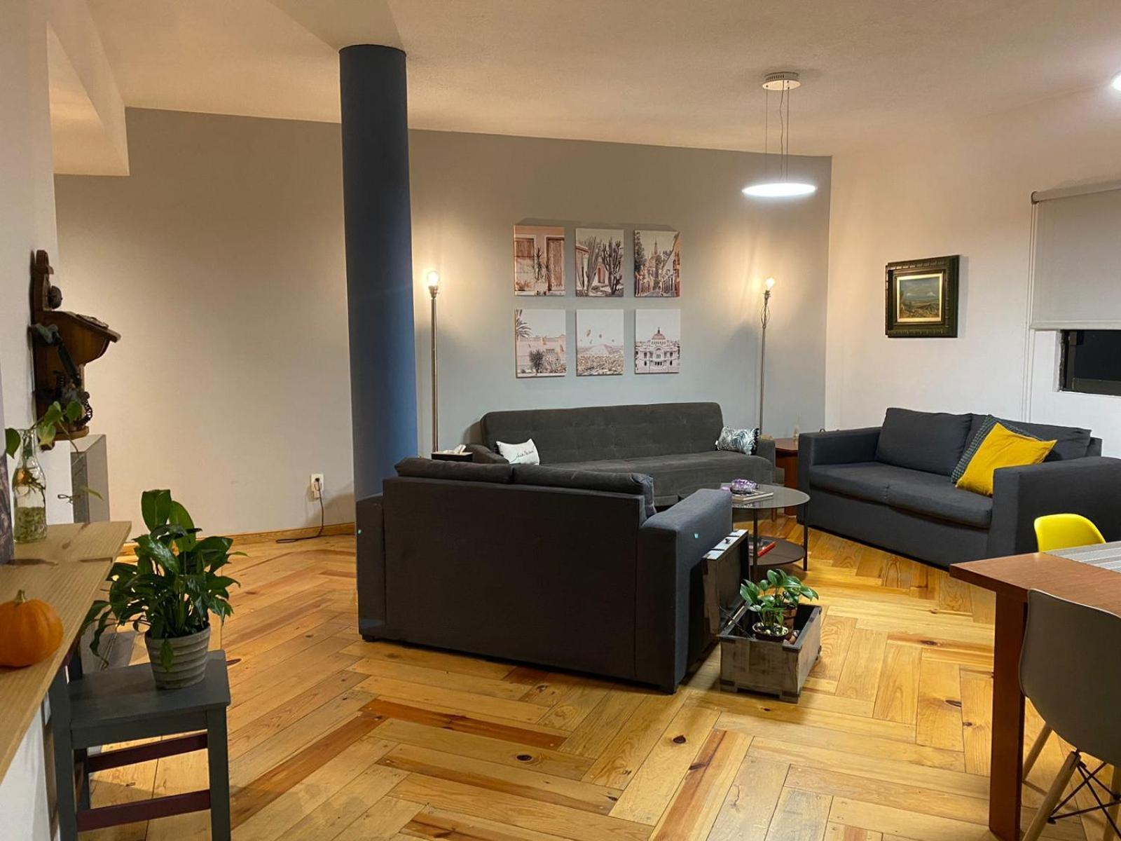 Apartament Corazon De Condesa Meksyk Zewnętrze zdjęcie